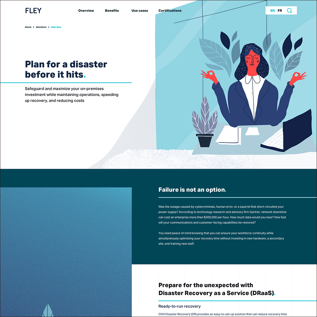 FLEY - Proof of Concept